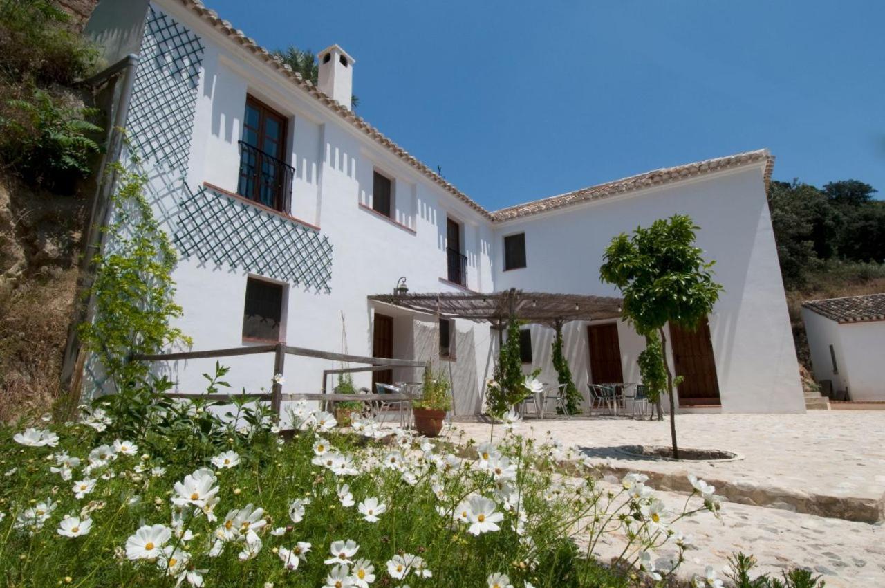 Molino La Ratonera Villa Granada Kültér fotó