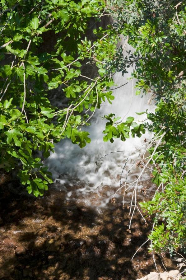 Molino La Ratonera Villa Granada Kültér fotó