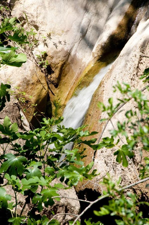 Molino La Ratonera Villa Granada Kültér fotó