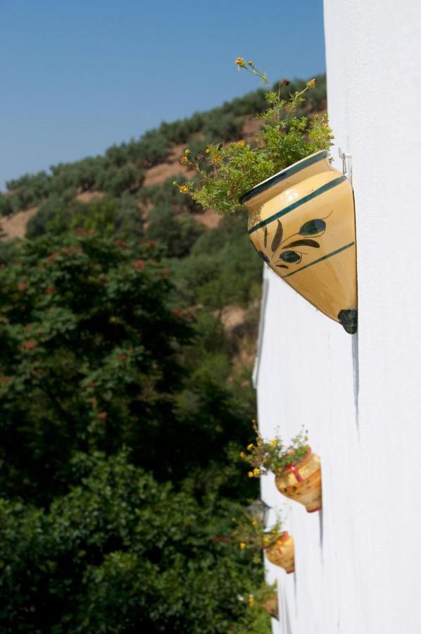 Molino La Ratonera Villa Granada Kültér fotó