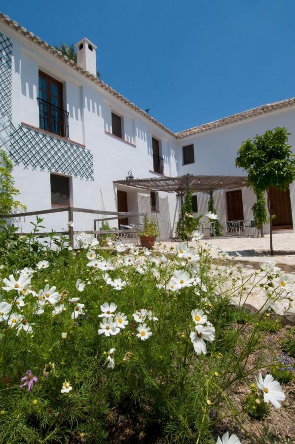 Molino La Ratonera Villa Granada Kültér fotó